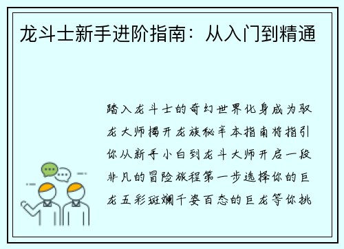 龙斗士新手进阶指南：从入门到精通